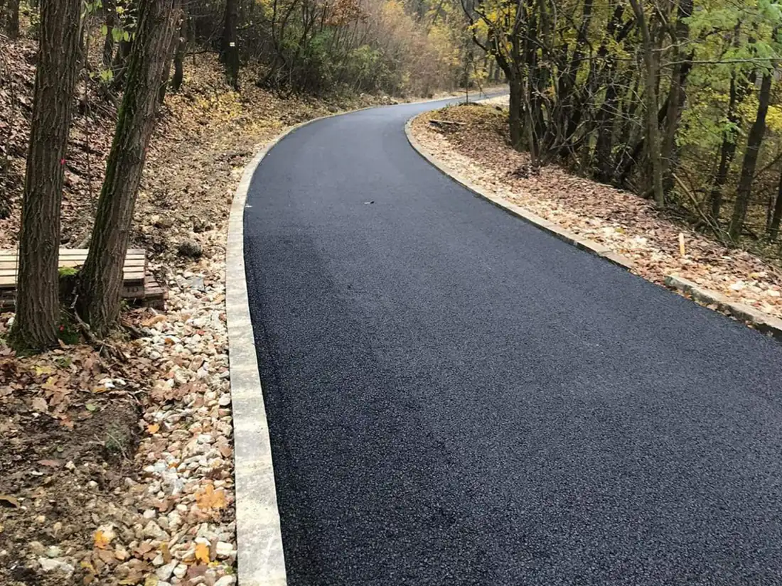 Kanyarodó aszfaltozott gyalogút erdőszélen szegéllyel